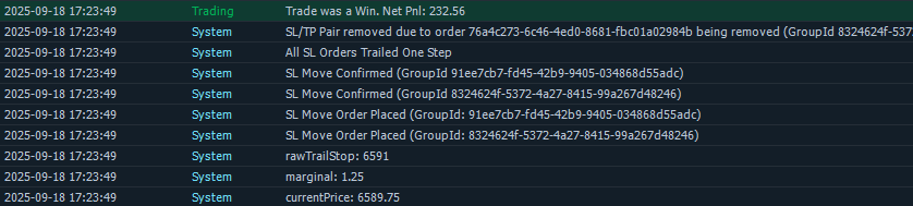 Example of detailed logging